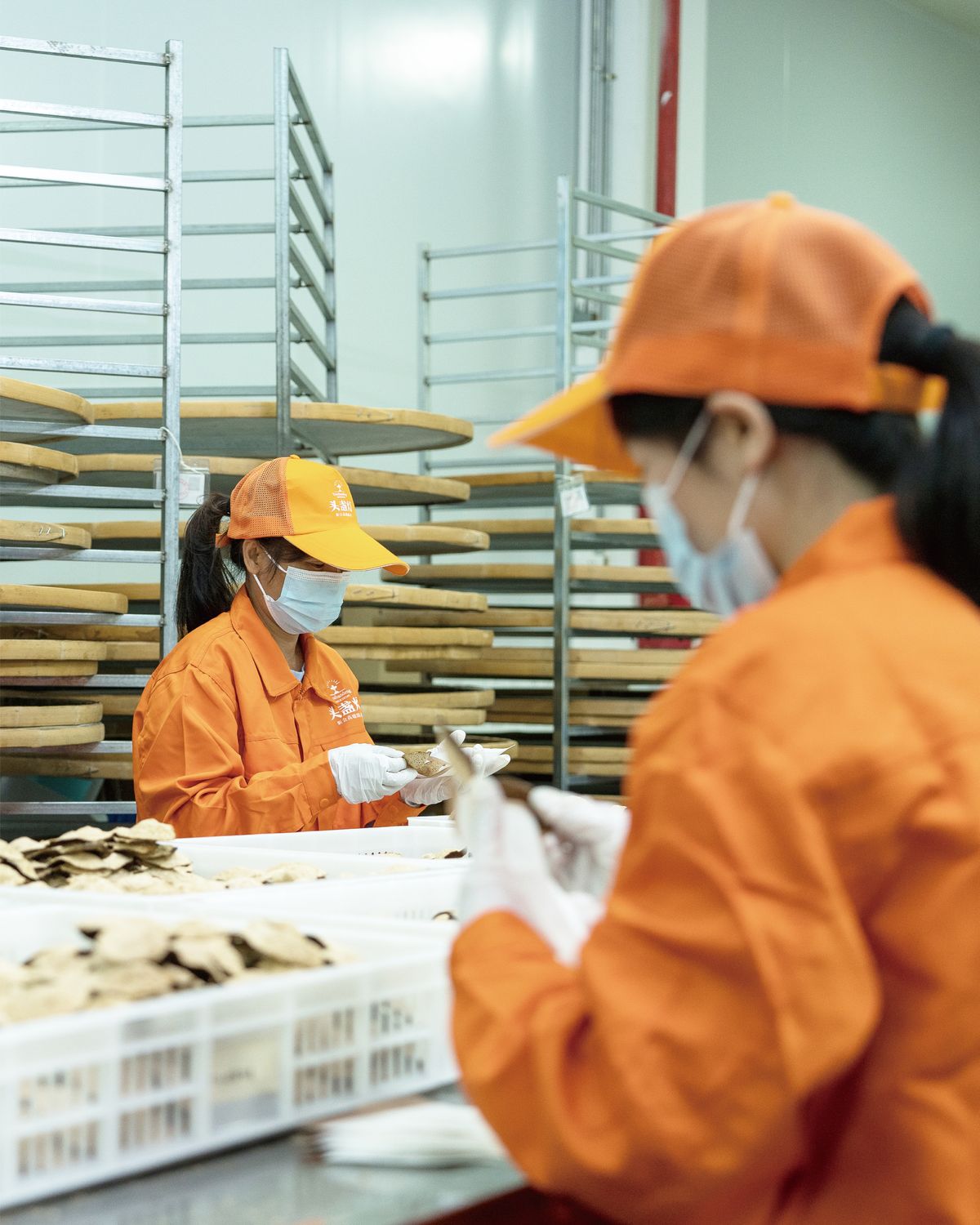 让世界认识中国好陈皮